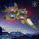 Cross-border preferred cargo communication global foam fighter anti-fall obstacle avoidance model fighter boy toy remote control aircraft
