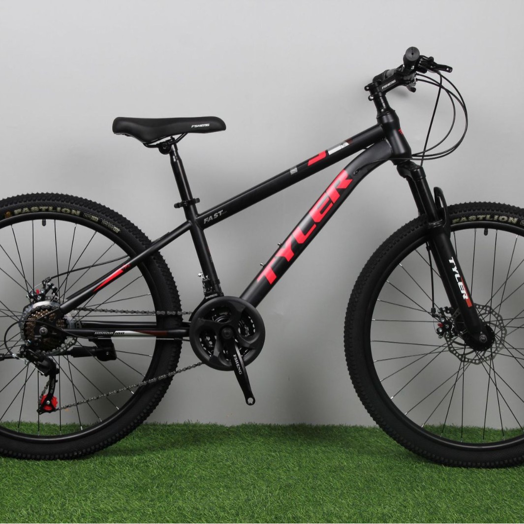 TYLER Cross-border de 24 pulgadas con doble freno de disco, bicicleta de montaña de 26 pulgadas, bicicleta de montaña todoterreno de 21 velocidades