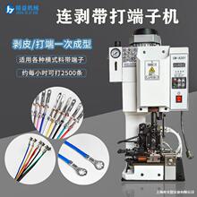 �B��������әC���ԄӶ�о���o�׾�����C�������һ�w�C�����O��