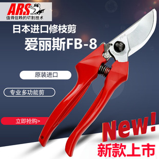�ձ��M����֦������˹ARS FB8�@�ּ�@ˇ���辰���޼�����֦��