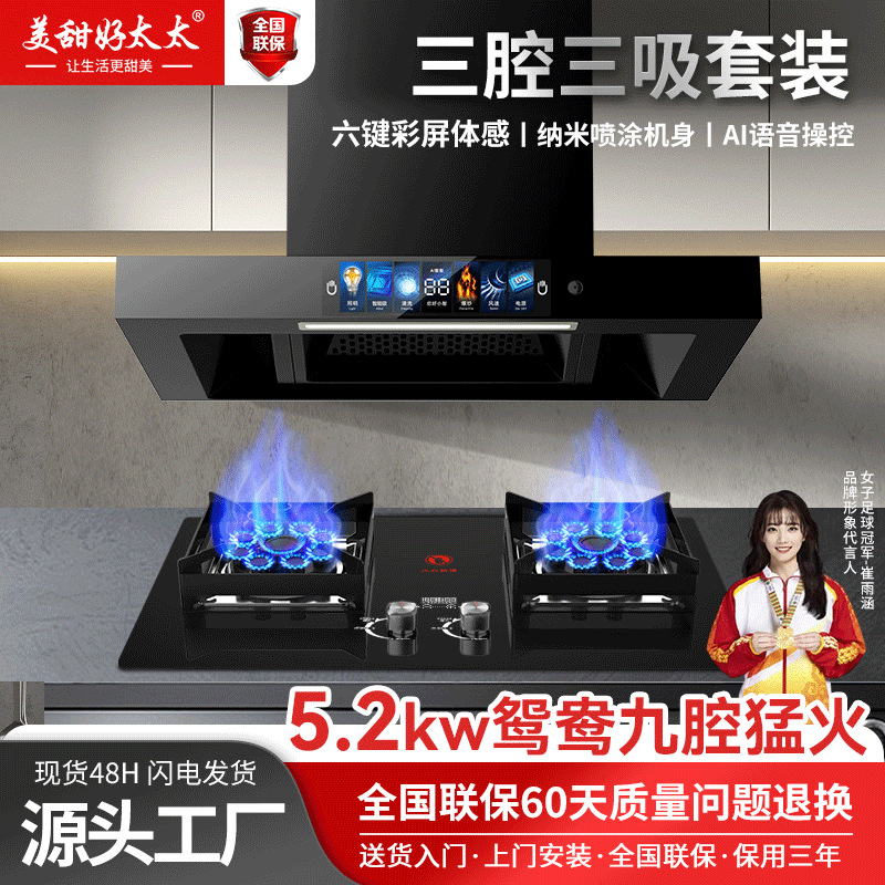 Large Suction Range Hood Household Kitchen Stove Set Fierce Fire Gas Stove Liquefied Gas Range Hood Smoke Stove Set