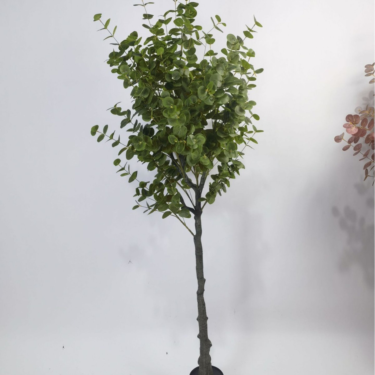 Simulación de estilo de desmontaje transfronterizo Eucalipto en maceta Eucalipto Centro comercial Sala de estar Ventana Decoración de plantas de piso a techo