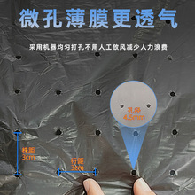 �S�Ҷ������ϱ�Ĥˮ������΢�׵�Ĥ����r�÷Nֲ�пױ�Ĥ