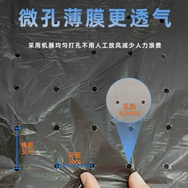 农用薄膜;包装薄膜;功能薄膜