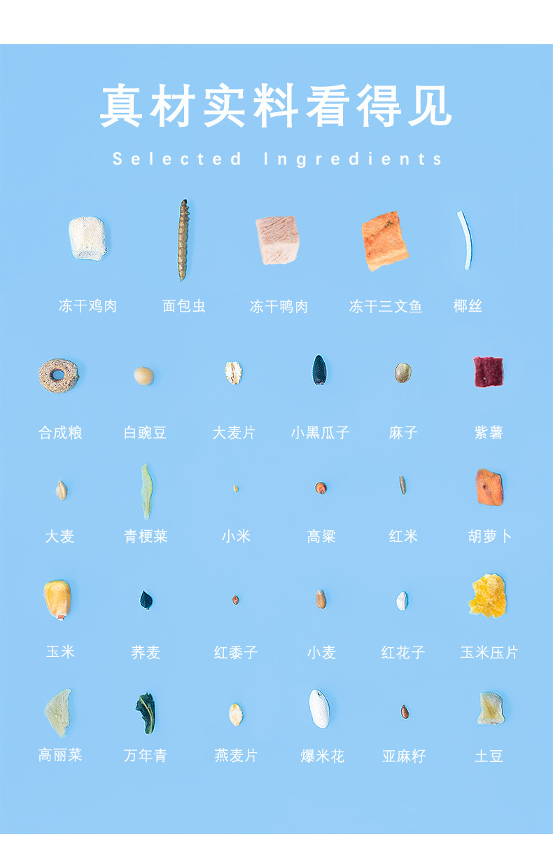 f23166c9-f5dc-4b1e-a0bc-b05385a9f461.jpe