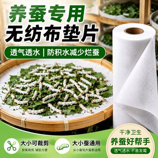 �Q���o�����|һ�����B�Q�|���Q��䁉|�ɲü������Q�Bֳ�Q̨�o����