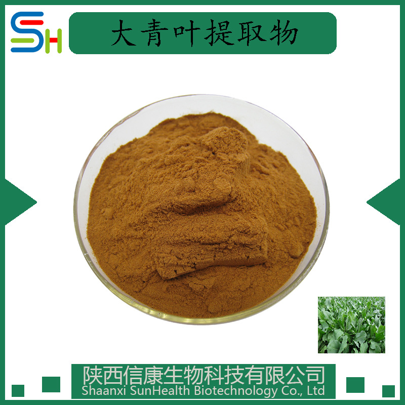 大青叶提取物 10:1 大青叶浓缩粉 大青叶比例萃取