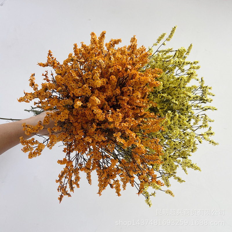 [Dyeing immortal crystal grass] Preserved flowers, Eternal Flowers, dried plum Crystal Grass