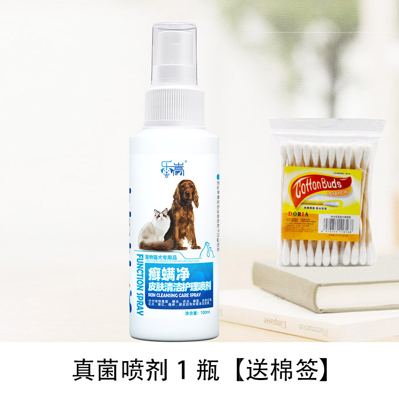 완전 청소 + 면봉