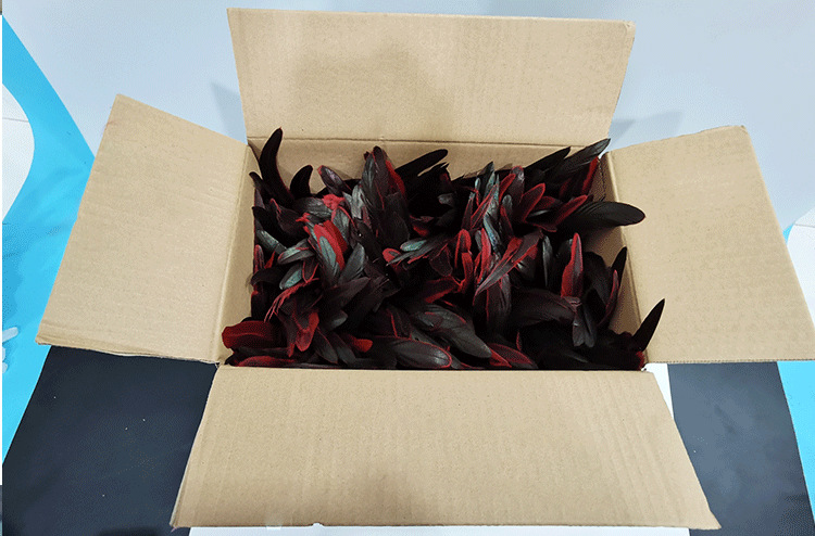 大中小公鸡毛-恢复的-恢复的_15