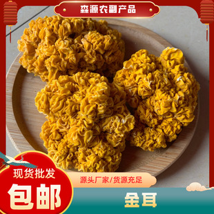 �����؛����خa�S����S�����y���X���Ҝ�ʳ��ʳ�þ��F؛����