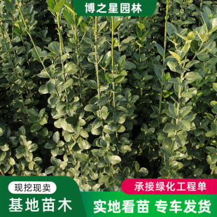 �������S�������l�����@�־G��������ľͥԺ�h�ʠ��G�h�S��С��