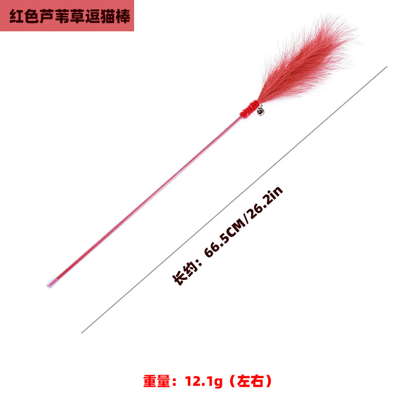 붉은 갈대풀 고양이 재미있는 스틱