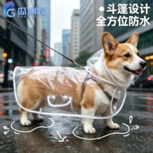 ����С��������̩������С��Ȯ��Ȯ͸��������ˮ�»��ɰ������·�