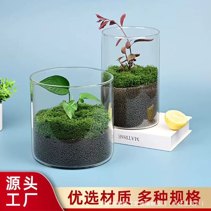 Высокоборосиликатная прозрачная бутылка большого диаметра для микроландшафта, гидропонная экологическая бутылка, стеклянный аквариум для рыбок бетта, аквариум для водных растений.