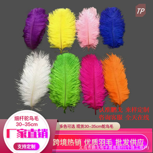 �i�깤�S���l�F؛��ë30-35cm�r�Bë ���U���|�������̨����