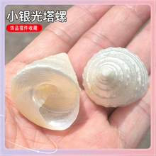 ?��ȻС�y������ �ľ�з��Q�� Сؐ�����ݚ��~���쾰�Ʒ�[����