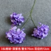 Three -headed hydrangea light purple