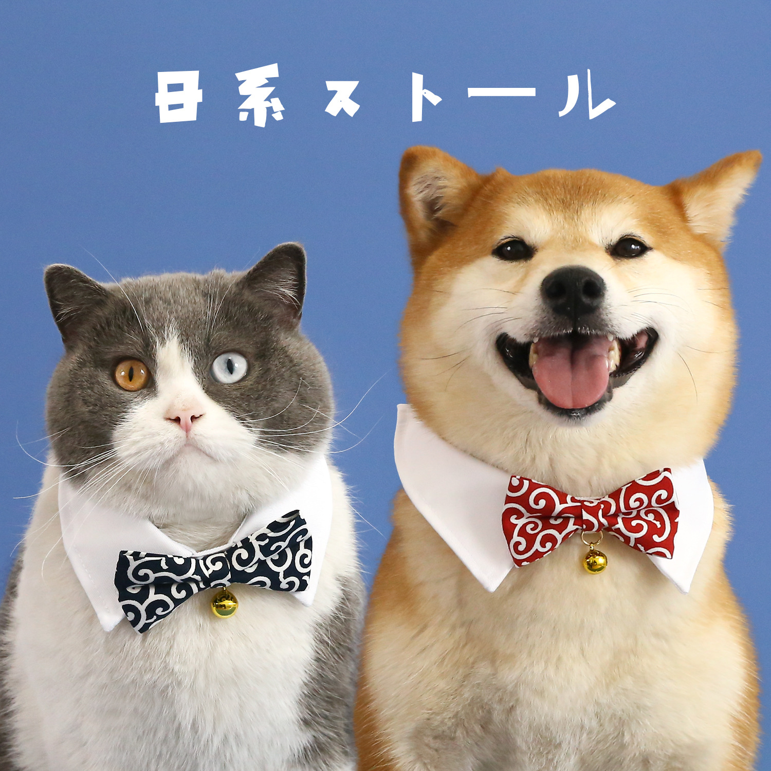 Mascotas perros perros gatos japoneses Tang grasa arco collar collar collar collar accesorios