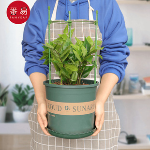 ���]/ֲ��֧��A1P30-��������֧�ܻ�֧����зצ�m�¼�