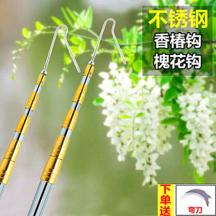 Picking Toon, Stainless Steel Telescopic Pole, High-Altitude Fruit Picking Pole, Cutting Locust Flower Hook, Toon Multifunctional Picking and Harvesting