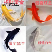 2025�~�^�p�~�S�\�����~���~�\����ˮ�~С�͵�ˮ�~���B�ͻ���\��