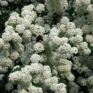 ���~��������������÷С�����������ľ�Gֲ���ͺ��͟���B�����L