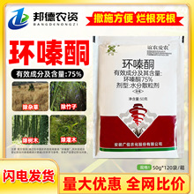 75%�h�ͪ ȫˮ�܇��F���s�����ӹ�ľ��ľ�ݠ����������݄��V��