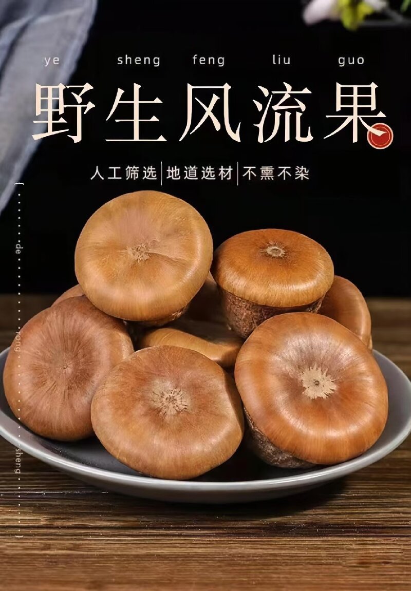 Feng Liu Guo (Lithocarpus/Sclerophyllous Oak Fruit) — Dried Food Herb for Wine Infusion & Soup overview