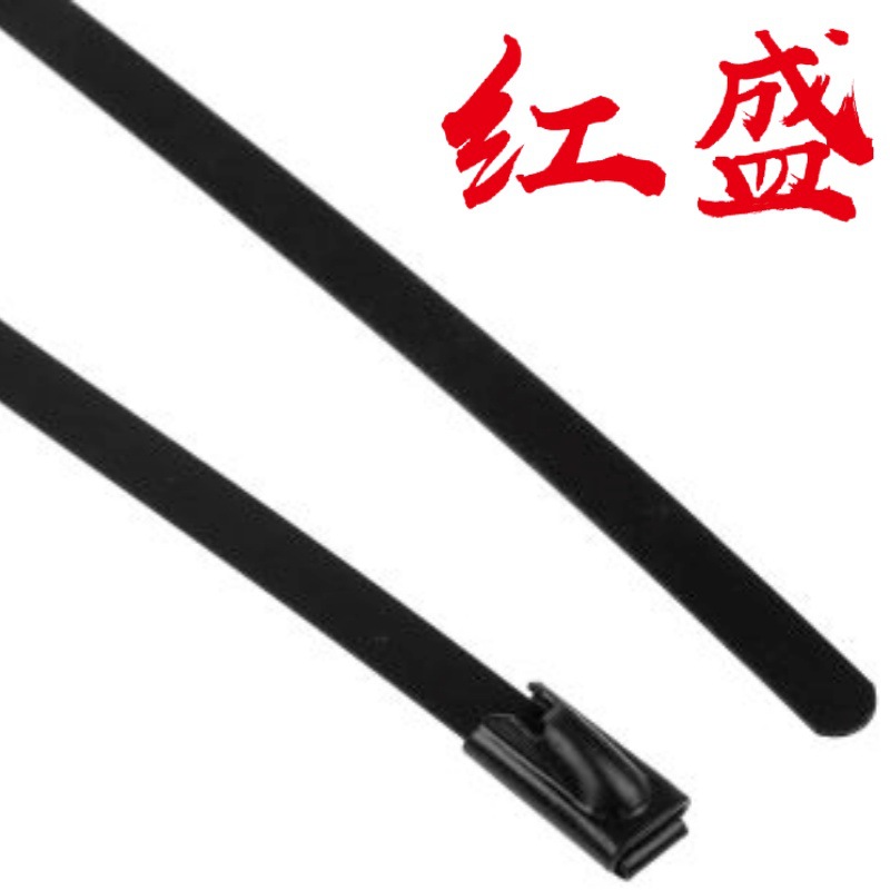 MLTFC24S-CP316,MLTFC68S-CP316 聚酯涂层不锈钢扎带