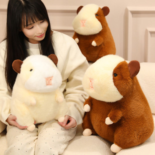 �羳���m�i����ë�q���������ż�׻�ˮ�����������նY��С���i
