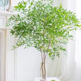 �����������r���҃ȼҾ��k���bGֲˮ�B�廨��ˇ