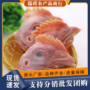 ���r�u�^5��������������u�^���u�^���r�ك��u�^�u���ָ�Ʒ����