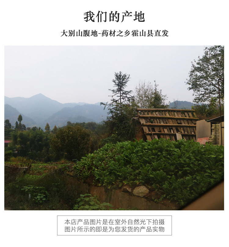 Dried Yu Zhu Solomon's Seal Root Slices 500g Yu Zhu Polygonatum odoratum TCM Herbal Tea and Soup Ingredient preparation