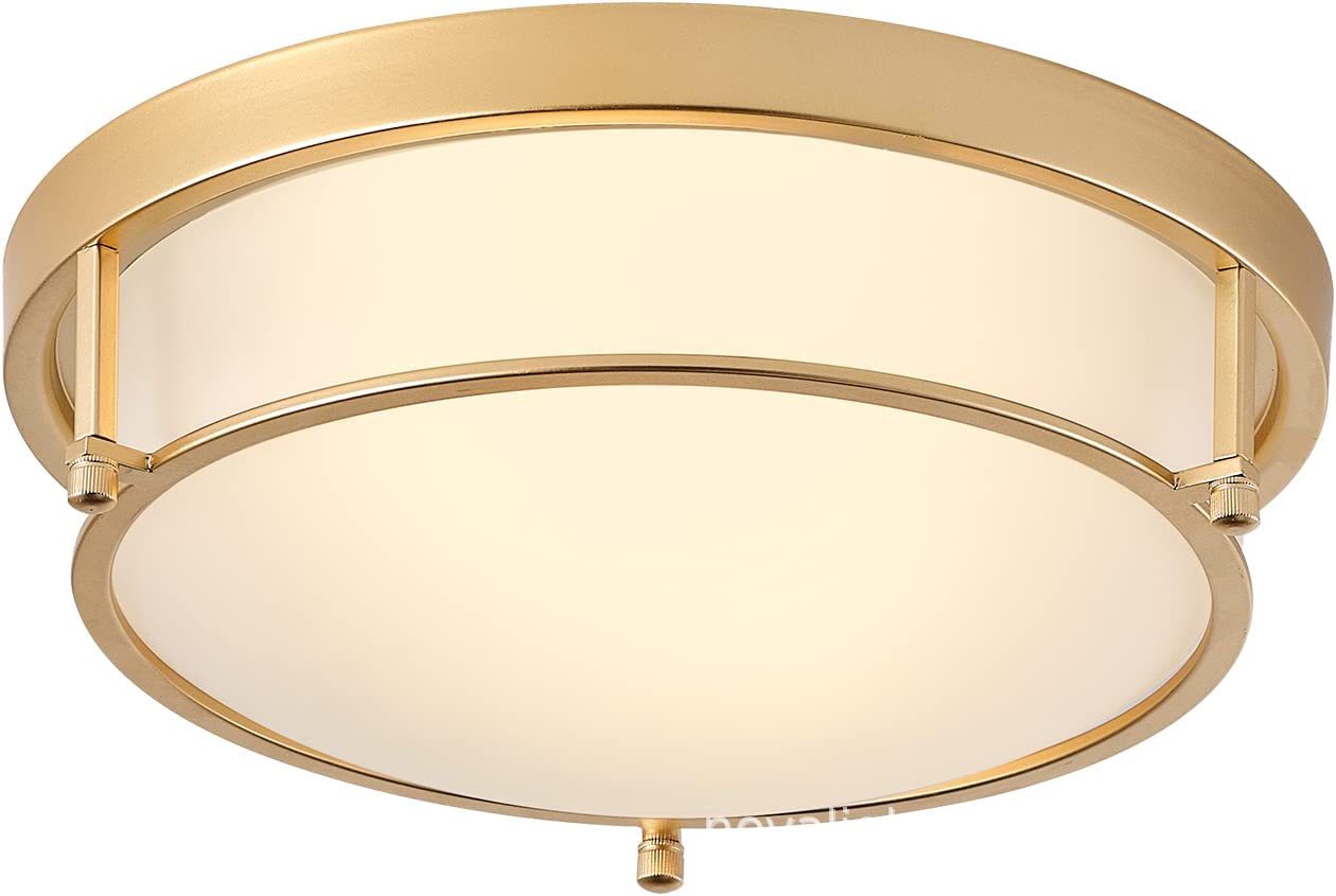 516o46a4qYL._AC_SL1500_