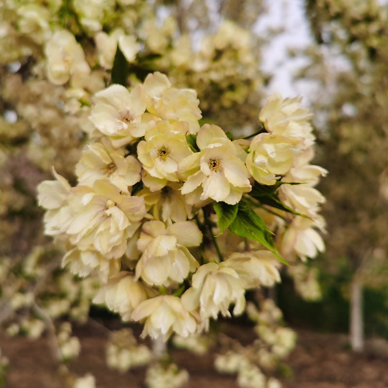 微信图片_20230818145648 副本.jpg