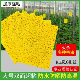 其他居家日用;发夹;沐浴球浴擦