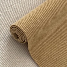 整卷地毯家用加厚大面积办公室卧室房间水泥地摄影棚拍照素色直销