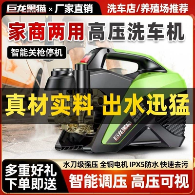 Portable car washer Julong Black Cat Pressure