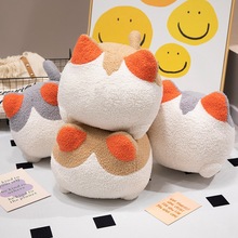 �羳�ɐۺ��s��c؈�俿�|؈����С؈ɳ�l����ë�q��ż���նY��