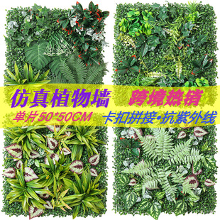 �羳����Gֲ�����ƺ�������m������T�^��������ֲ��߷���