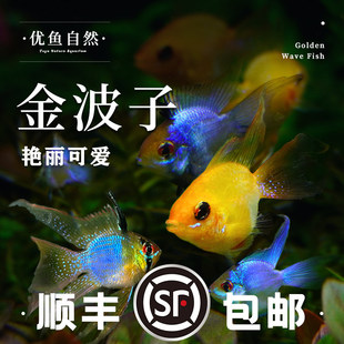 ���������Lβ�N�~�{���Ӱ����_���m�P�˶����~�Ꭷ�^�p�~С���~