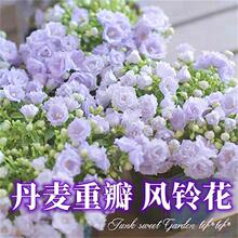 �L⏲ݻ��N�҃���ͥԺ��m�����Ի��N�ӻ��N�����ļ��_���׻��