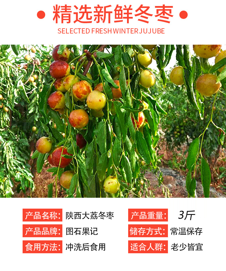 大荔冬枣3斤详情2