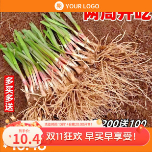 �����t�²˸���탲˸��w����ʳ���̨�N���w�²˸����~��