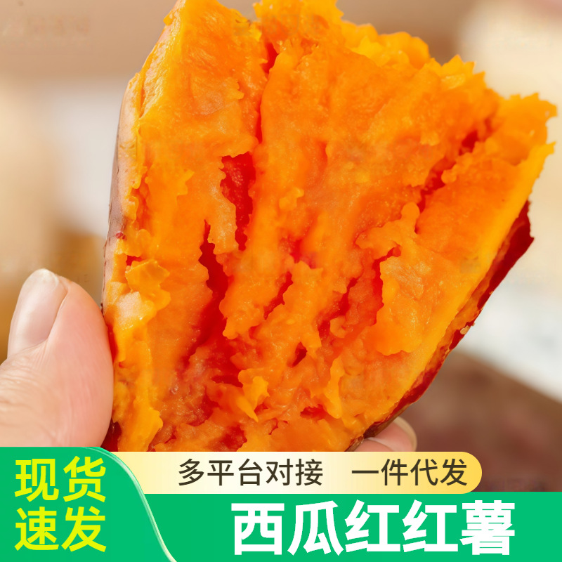 板栗蜜薯红薯西瓜红沙地蜜薯10斤小香薯红薯新鲜地瓜山芋现挖