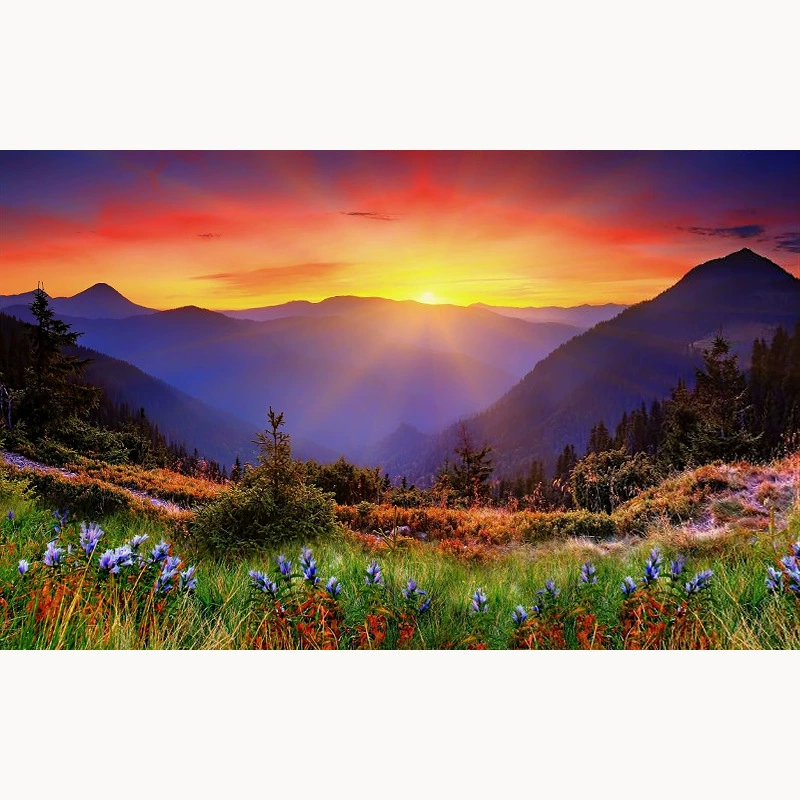 Картинка алмазной мозаики 40x50