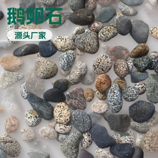 �S�����l ׃�����ͳؽ��B���Z��ʯ �Z��ʯ�V�� �[ʯ �Tʯ