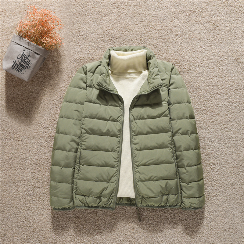 라이트 그린 스탠드 칼라