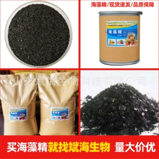 海藻精生根壮苗叶面冲施肥调节土壤有机水溶肥生物质肥料海藻精